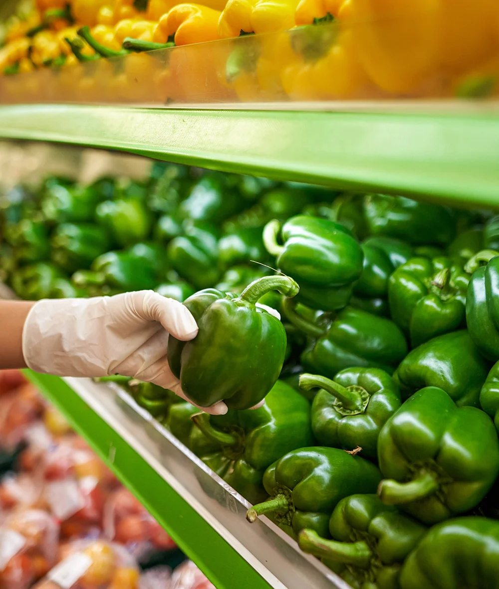 Msovi Global Volunteer Program operates under the Msovi Agro-Conservation Initiative (MACI). It welcomes passionate volunteers from around the world to contribute to sustainable agriculture, environmental conservation, and community empowerment projects across Tanzania starting in the Arusha Region.